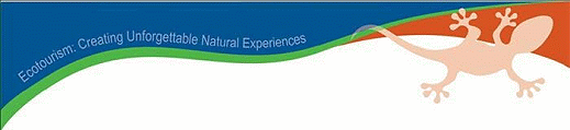 Ecotourism: Creating Unforgettable Natural Experiences