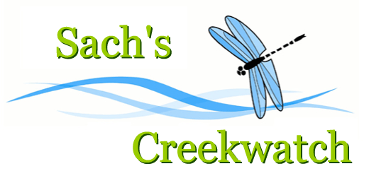 Sach's Creekwatch
