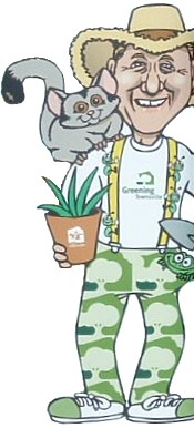 Get involved with the next Geening Townsville - Community Greening