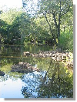 Sachs Creek - March 2004