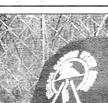 Townsville Bulletin, Friday, March 24, 2000