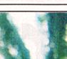 Townsville Bulletin, Friday, July 7, 2000