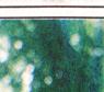 Townsville Bulletin, Friday, July 7, 2000