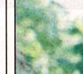Townsville Bulletin, Friday, July 7, 2000