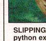 Townsville Bulletin, Friday, July 7, 2000