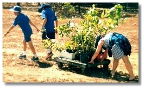 Greening work