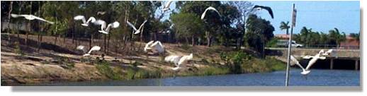 Louisa Creek