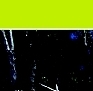SOE Townsville - Summary page 12